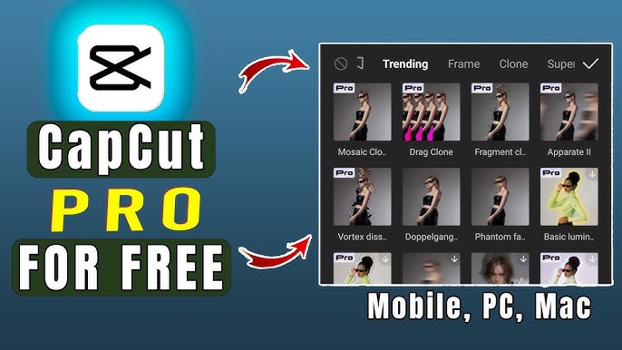 CapCut Pro Login Free for All Devices – 100% Working + 100 Accounts Giveaway